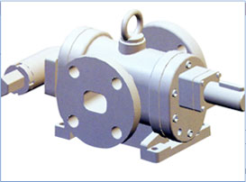 Rotary Gear Pump