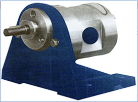 SS Gear Pump